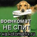 НЕ СПИТ военкомат... Котоматрица: НЕ СПИТ военкомат