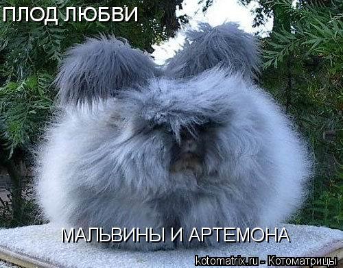 ПЛОД ЛЮБВИ МАЛЬВИНЫ И АРТЕМОНА... Котоматрица: ПЛОД ЛЮБВИ МАЛЬВИНЫ И АРТЕМОНА