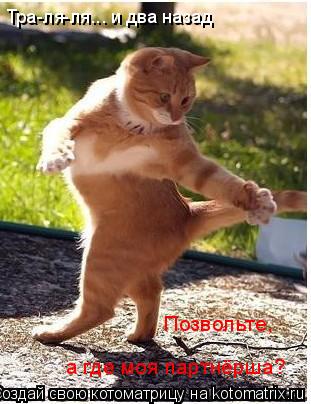 Тра-ля-ля... и два назад Позвольте, а где моя партнёрша?... Котоматрица: Тра-ля-ля... и два назад Позвольте, а где моя партнёрша?