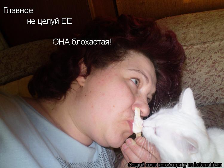 Главное не целуй ЕЕ ОНА блохастая!... Котоматрица: Главное не целуй ЕЕ ОНА блохастая!