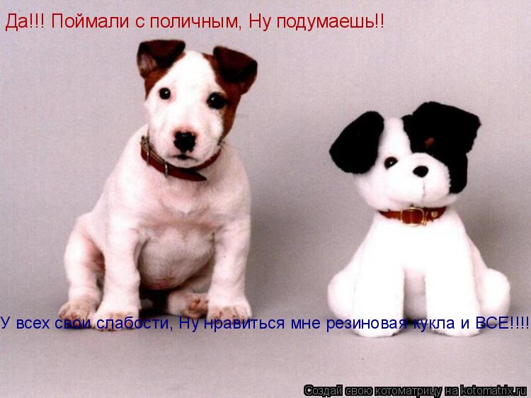 Да!!! Поймали с поличным, Ну подумаешь!! У всех свои слабости, Ну нравиться мне резиновая кукла и ВСЕ... Котоматрица: Да!!! Поймали с поличным, Ну подумаешь!! У всех свои слабости, Ну нравиться мне резиновая кукла и ВСЕ!!!!