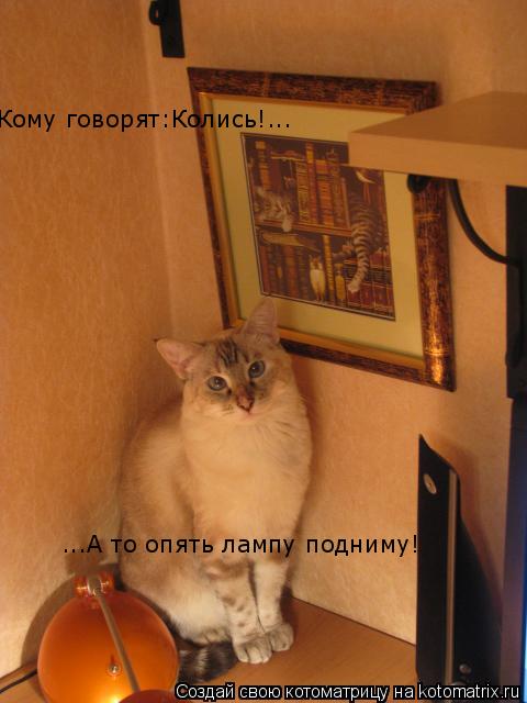 Кому говорят:Колись!... ...А то опять лампу подниму!... Котоматрица: Кому говорят:Колись!... ...А то опять лампу подниму!