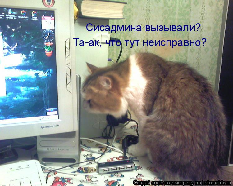 Сисадмина вызывали? Та-ак, что тут неисправно?... Котоматрица: Сисадмина вызывали? Та-ак, что тут неисправно?