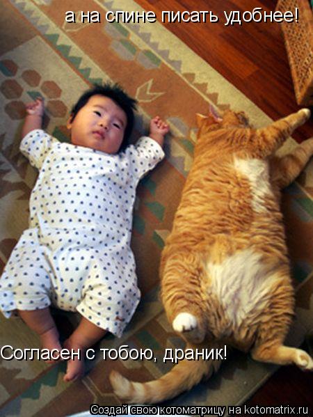 а на спине писать удобнее! Согласен с тобою, драник!... Котоматрица: а на спине писать удобнее! Согласен с тобою, драник!