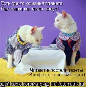 Есть где-то кошачья планета Там кошки как люди живут! Читают в постели газеты И кофе со сливками пьют... Котоматрица: Есть где-то кошачья планета Там кошки как люди живут! Читают в постели газеты И кофе со сливками пьют!