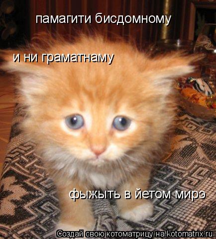 памагити бисдомному и ни граматнаму фыжыть в йетом мирэ... Котоматрица: памагити бисдомному и ни граматнаму фыжыть в йетом мирэ
