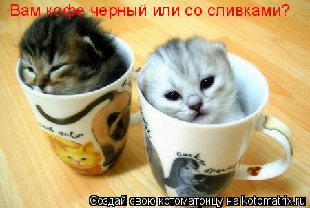 Вам кофе черный или со сливками?... Котоматрица: Вам кофе черный или со сливками?