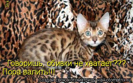 Говоришь, обивки не хватает??? Пора валить!!! Sky... Котоматрица: Говоришь, обивки не хватает??? Пора валить!!! Sky