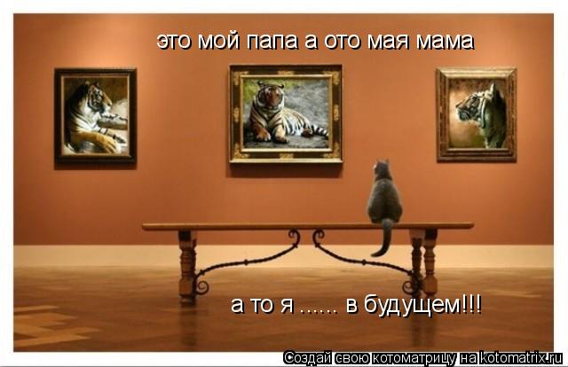 это мой папа а ото мая мама а то я ...... в будущем!!!... Котоматрица: это мой папа а ото мая мама а то я ...... в будущем!!!