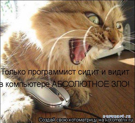 Только программист сидит и видит в компьютере АБСОЛЮТНОЕ ЗЛО!... Котоматрица: Только программист сидит и видит в компьютере АБСОЛЮТНОЕ ЗЛО!