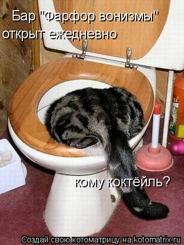 Бар "Фарфор вонизмы" открыт ежедневно кому коктёйль?... Котоматрица: Бар "Фарфор вонизмы" открыт ежедневно кому коктёйль?