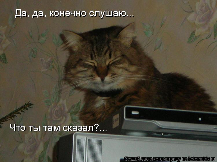 Да, да, конечно слушаю... Что ты там сказал?...... Котоматрица: Да, да, конечно слушаю... Что ты там сказал?...