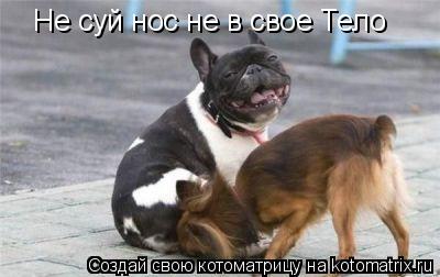 Не суй нос не в свое Тело... Котоматрица: Не суй нос не в свое Тело