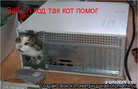 Забыл код так кот помог... Котоматрица: Забыл код так кот помог