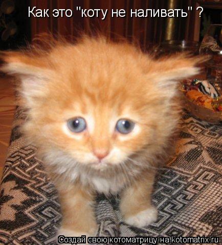 Как это "коту не наливать" ?... Котоматрица: Как это "коту не наливать" ?