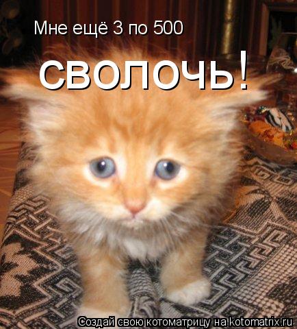 Мне ещё 3 по 500 сволочь!... Котоматрица: Мне ещё 3 по 500 сволочь!