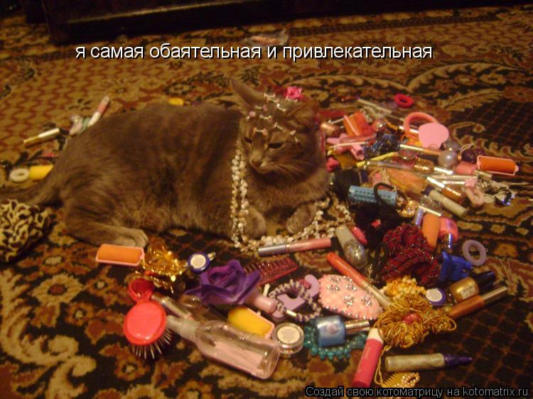 я самая обаятельная и привлекательная... Котоматрица: я самая обаятельная и привлекательная