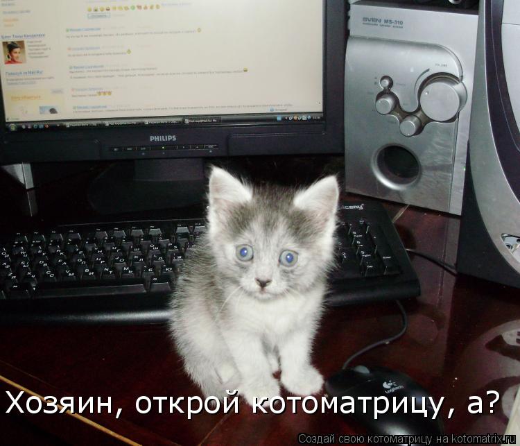 Хозяин, открой котоматрицу, а?... Котоматрица: Хозяин, открой котоматрицу, а?
