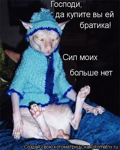 Сил моих больше нет Господи, да купите вы ей братика!... Котоматрица: Сил моих больше нет Господи, да купите вы ей братика!