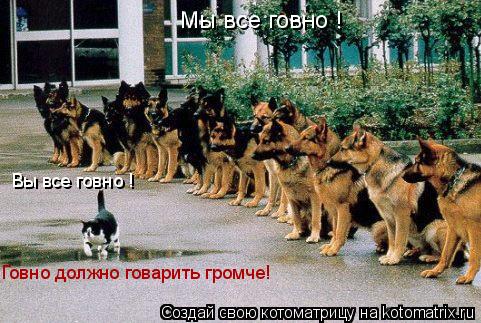 Вы все говно ! Мы все говно ! Говно должно говарить громче!... Котоматрица: Вы все говно ! Мы все говно ! Говно должно говарить громче!