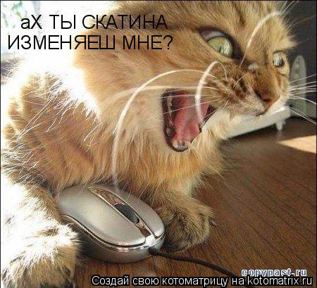 аХ ТЫ СКАТИНА ИЗМЕНЯЕШ МНЕ?... Котоматрица: аХ ТЫ СКАТИНА ИЗМЕНЯЕШ МНЕ?