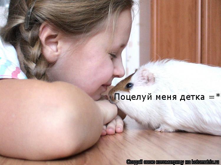 Поцелуй меня детка =*... Котоматрица: Поцелуй меня детка =*