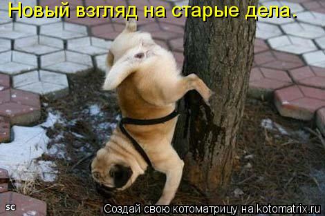 Новый взгляд на старые дела.... Котоматрица: Новый взгляд на старые дела.