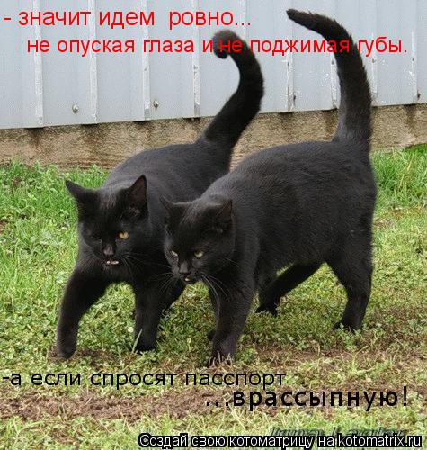 - значит идем ровно... не опуская глаза и не поджимая губы. -а если спросят пасспорт ...врассыпную!... Котоматрица: - значит идем ровно... не опуская глаза и не поджимая губы. -а если спросят пасспорт ...врассыпную!