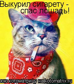 Выкурил сигарету - спас лошадь!... Котоматрица: Выкурил сигарету - спас лошадь!