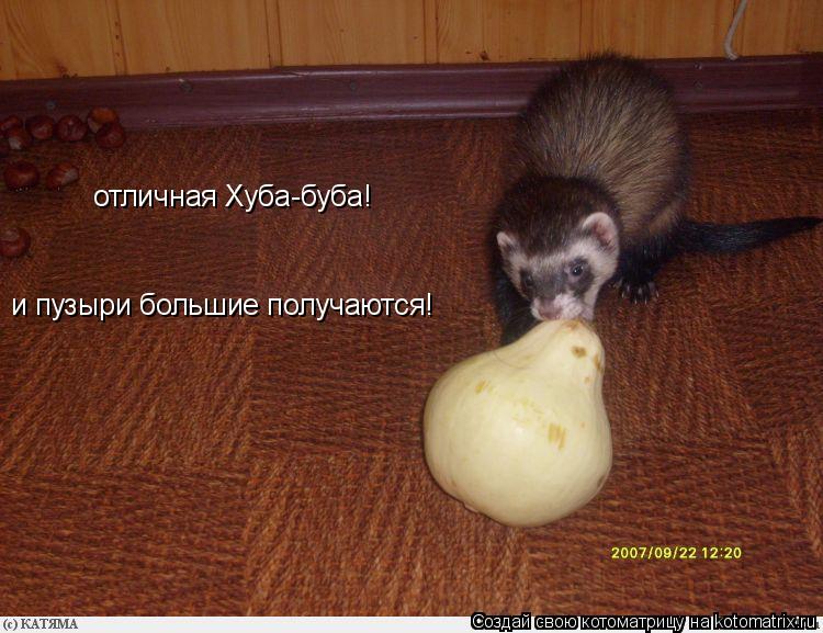 отличная Хуба-буба! и пузыри большие получаются!... Котоматрица: отличная Хуба-буба! и пузыри большие получаются!