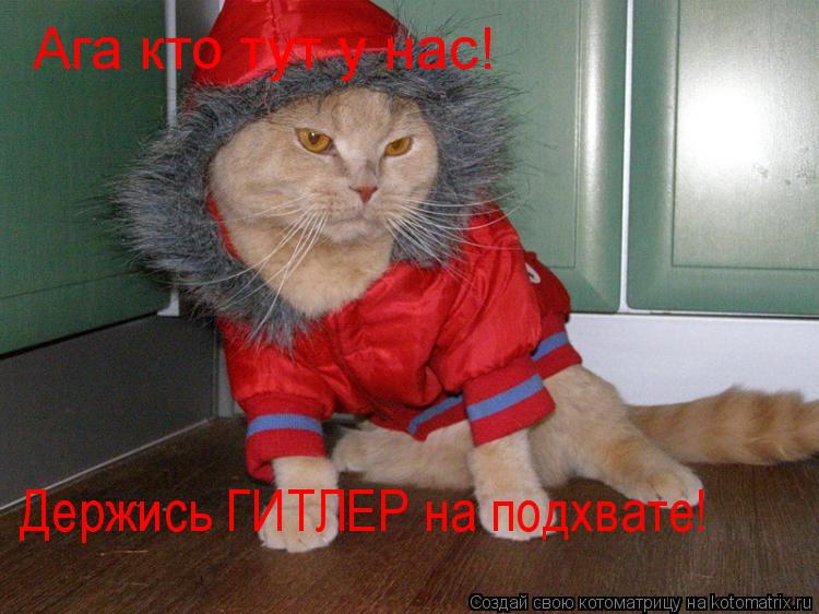 Ага кто тут у нас! Держись ГИТЛЕР на подхвате!... Котоматрица: Ага кто тут у нас! Держись ГИТЛЕР на подхвате!