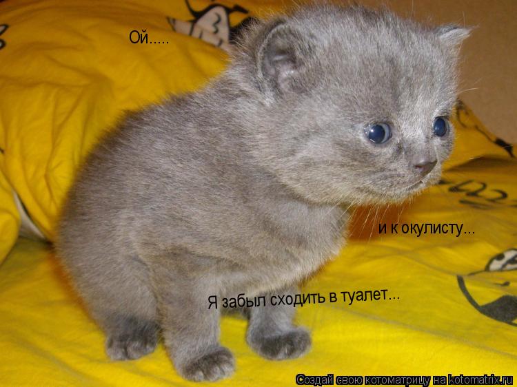 Ой..... Я забыл сходить в туалет... и к окулисту...... Котоматрица: Ой..... Я забыл сходить в туалет... и к окулисту...