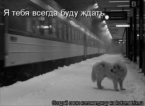 Я тебя всегда буду ждать... Котоматрица: Я тебя всегда буду ждать