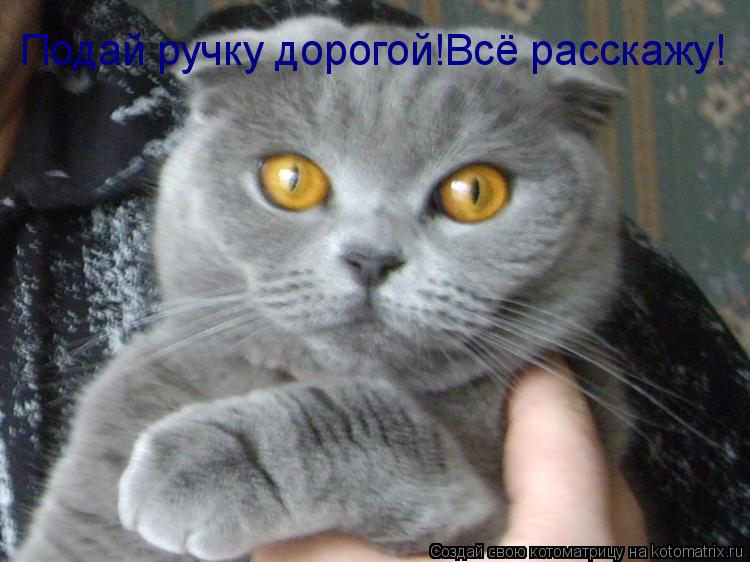 Подай ручку дорогой!Всё расскажу!... Котоматрица: Подай ручку дорогой!Всё расскажу!