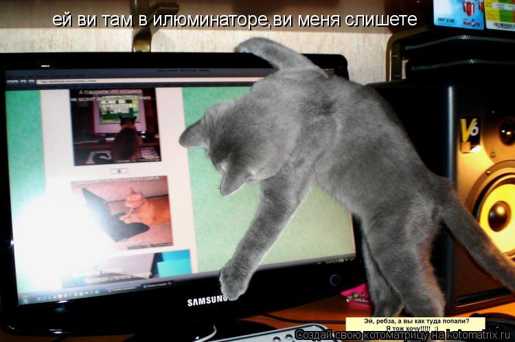 ей ви там в илюминаторе,ви меня слишете... Котоматрица: ей ви там в илюминаторе,ви меня слишете