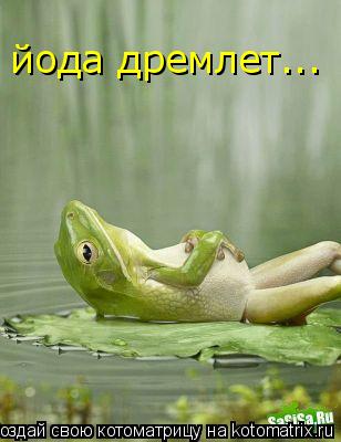 йода дремлет...... Котоматрица: йода дремлет...