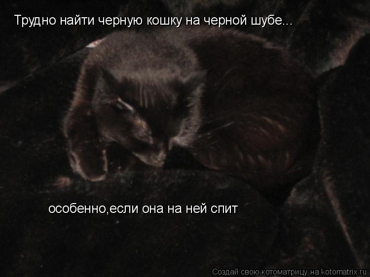 Трудно найти черную кошку на черной шубе... особенно,если она на ней спит... Котоматрица: Трудно найти черную кошку на черной шубе... особенно,если она на ней спит