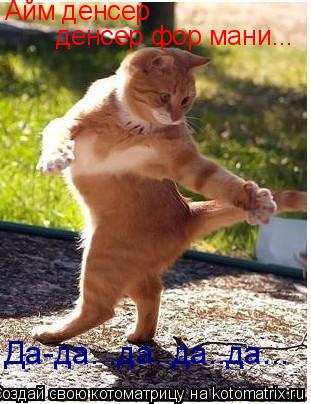 Да-да...да..да..да... денсер фор мани... Айм денсер... Котоматрица: Да-да...да..да..да... денсер фор мани... Айм денсер