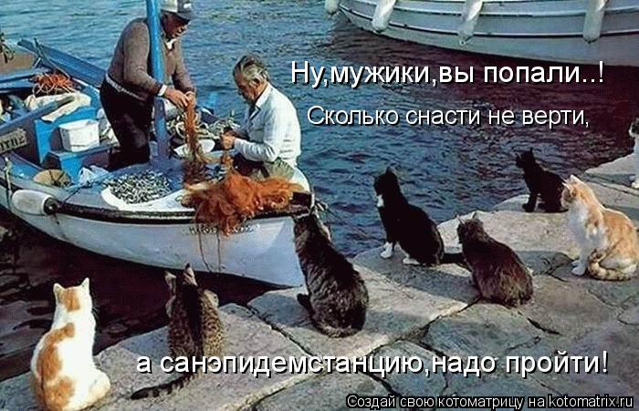 Сколько снасти не верти, Ну,мужики,вы попали..! а санэпидемстанцию,надо пройти!... Котоматрица: Сколько снасти не верти, Ну,мужики,вы попали..! а санэпидемстанцию,надо пройти!