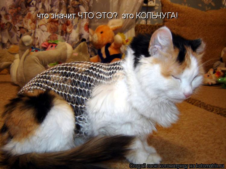 что значит ЧТО ЭТО? это КОЛЬЧУГА!... Котоматрица: что значит ЧТО ЭТО? это КОЛЬЧУГА!