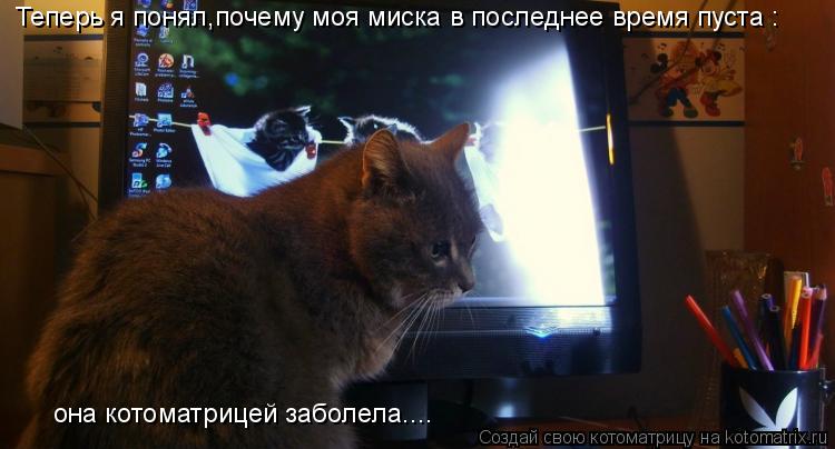 Теперь я понял,почему моя миска в последнее время пуста : она котоматрицей заболела....... Котоматрица: Теперь я понял,почему моя миска в последнее время пуста : она котоматрицей заболела....