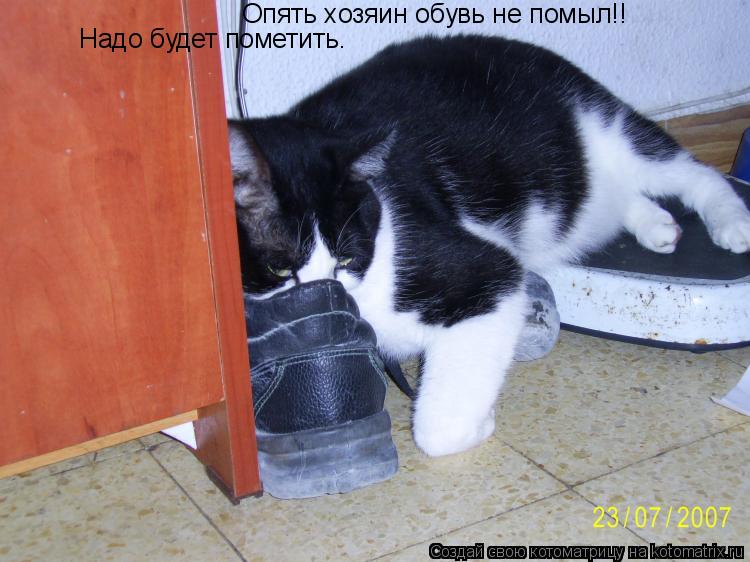 Опять хозяин обувь не помыл!! Надо будет пометить.... Котоматрица: Опять хозяин обувь не помыл!! Надо будет пометить.