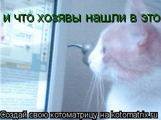 и что хозявы нашли в этом компе?щас разберусь... Котоматрица: и что хозявы нашли в этом компе?щас разберусь
