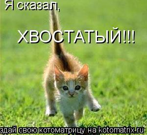 Я сказал, ХВОСТАТЫЙ!!!... Котоматрица: Я сказал, ХВОСТАТЫЙ!!!