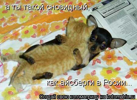 а ты такой сновидный, как айсберги в Росии...... Котоматрица: а ты такой сновидный, как айсберги в Росии...