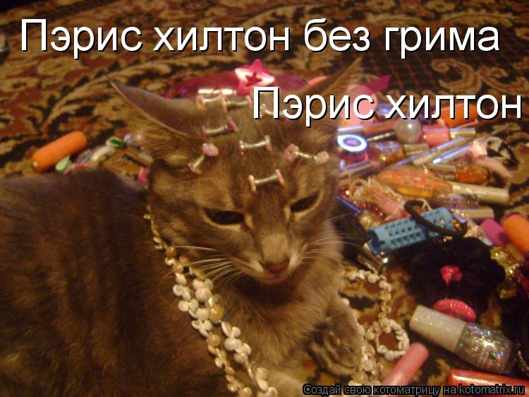 Пэрис хилтон без грима Пэрис хилтон без грима... Котоматрица: Пэрис хилтон без грима Пэрис хилтон без грима