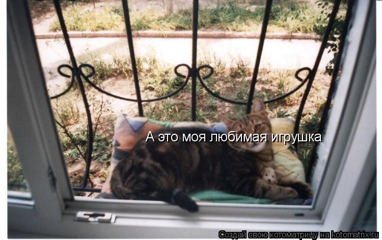 А это моя любимая игрушка... Котоматрица: А это моя любимая игрушка