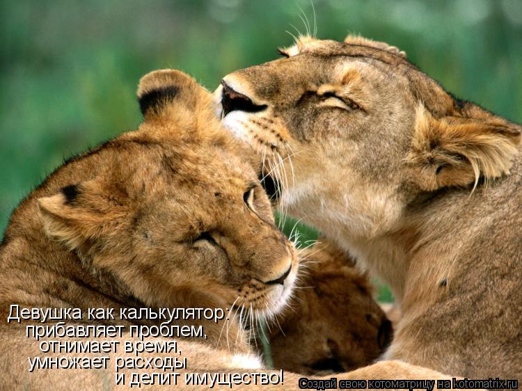 Девушка как калькулятор: прибавляет проблем, отнимает время, умножает расходы и делит имущество!... Котоматрица: Девушка как калькулятор: прибавляет проблем, отнимает время, умножает расходы и делит имущество!
