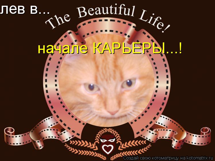 лев в... начале КАРЬЕРЫ...!... Котоматрица: лев в... начале КАРЬЕРЫ...!