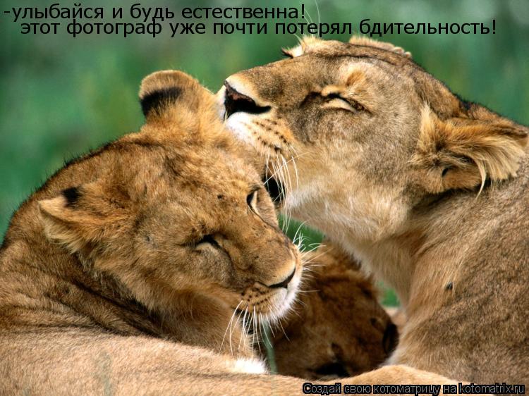 -улыбайся и будь естественна! этот фотограф уже почти потерял бдительность!... Котоматрица: -улыбайся и будь естественна! этот фотограф уже почти потерял бдительность!